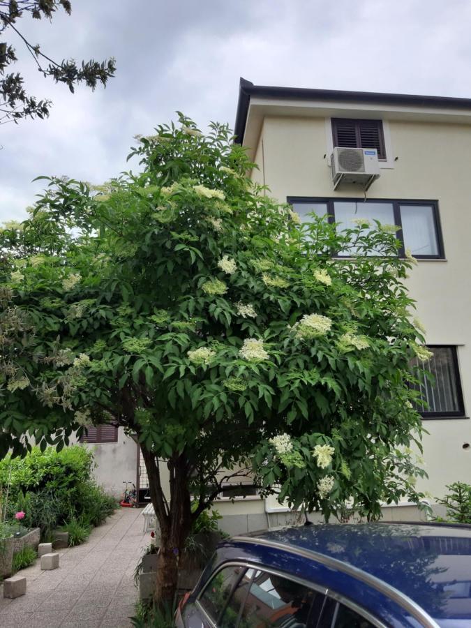 Apartma Lavela Izola Zewnętrze zdjęcie